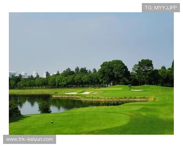 高尔夫礼仪与自律精神契合现代价值观,年轻一代视其为生活方式